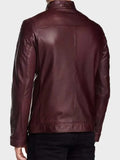 maroon aviator cafe racer jacket.
