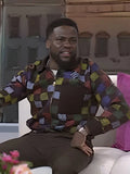 The Today Show 2025 Kevin Hart Multicolor Check Brown Jacket